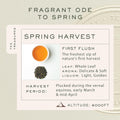 Spring Time Bloom | Tin Caddy 100 Gm | First Flush Black Tea