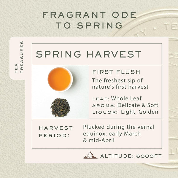 Spring Time Bloom | Tin Caddy 100 Gm | First Flush Black Tea