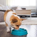 Outward Hound Fun Feeder Slo Bowl – Medium 2‑Cup Capacity, Slow Feeding, Small to Medium Dogs & Cats, Non-Slip, Turquoise, Drop Pattern Turquoise