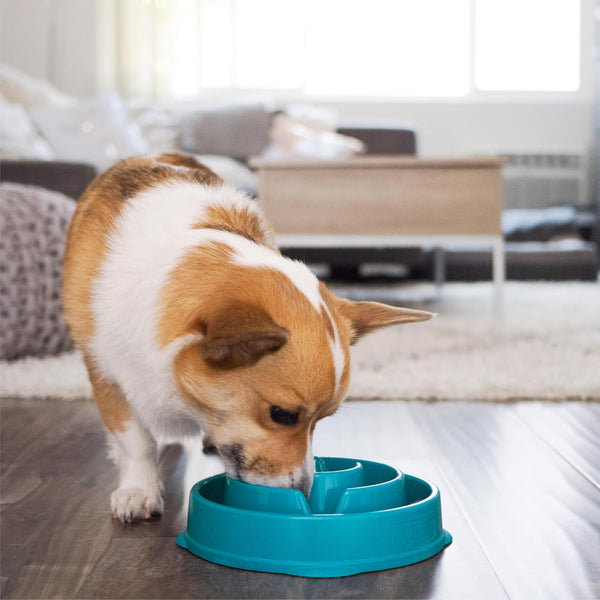 Outward Hound Fun Feeder Slo Bowl – Medium 2‑Cup Capacity, Slow Feeding, Small to Medium Dogs & Cats, Non-Slip, Turquoise, Drop Pattern Turquoise