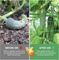 55" H x 36" W Cucumber Trellis for Raised Bed Garden, Cucumber Trelli for Climbing Plants Outdoor，A-Frame Vegetable Grow Supports, Tomato Plant