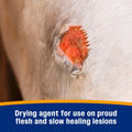 Farnam Wonder Dust Wound Powder, Blood Coagulant for Horses and Show Stock, For Use on Proud Flesh, Granulated Tissue, Stop Bleeding, 4 Ounces