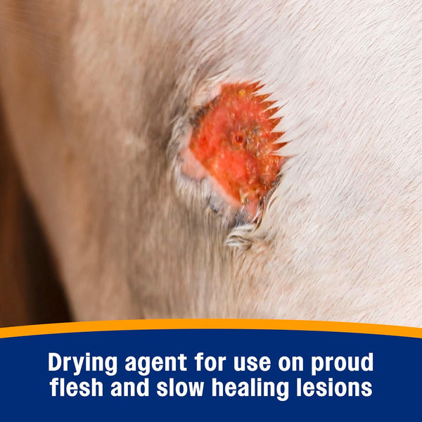 Farnam Wonder Dust Wound Powder, Blood Coagulant for Horses and Show Stock, For Use on Proud Flesh, Granulated Tissue, Stop Bleeding, 4 Ounces
