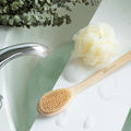 Ecotools Bath Bristle Brush, Bath Brush with Long Handle, Cleanse Back & Hard-To-Reach Areas, Eco Friendly Shower Brush for Exfoliating, Cruelty