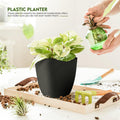 Plant Pots Indoor with Drainage, 5 Pack Multi-Size Planters Set, Black Pack of 5 Black