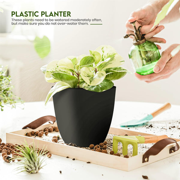 Plant Pots Indoor with Drainage, 5 Pack Multi-Size Planters Set, Black Pack of 5 Black