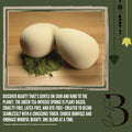 Green Tea Beauty Sponge - Plant-Based, Eco-Friendly, Cruelty-Free, Dye-Free & Latex-Free Blender, Biodegradable & Vegan Makeup Sponge, Makeup