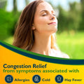 Benzedrex Nasal Decongestant Inhaler – Medicated Vapor Relief for Sinus Pressure, Nasal Congestion, Allergies, Hay Fever & Colds, 12 Count