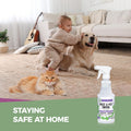 Peppermint Oil Insect & Pest Control Spray â 16Oz Natural Plant-Based Bug Killer for Spiders, Ants, Flies, and Other Insects, Safe for Home &