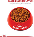 Royal Canin Feline Health Nutrition Sensitive Digestion Adult Dry Cat Food, 3.5 lb Bag 3.5 Pound (Pack of 1)