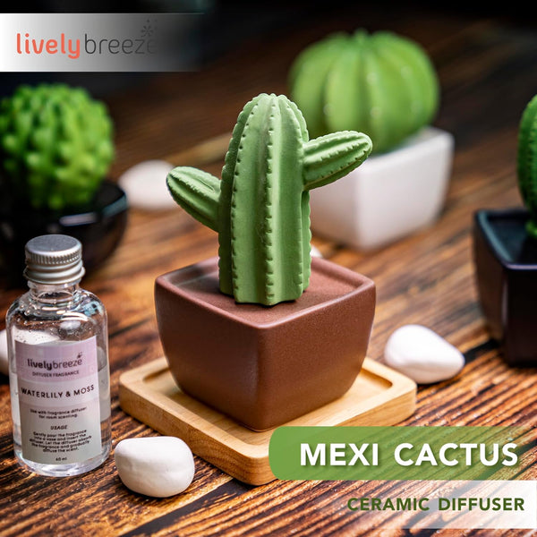 Maxi Cactus, Non-Electric Ceramic Diffusers for Essential Oils and Aromatherapy Fragrance, White Ceramic Diffusers in Car or Desk Office Decor and
