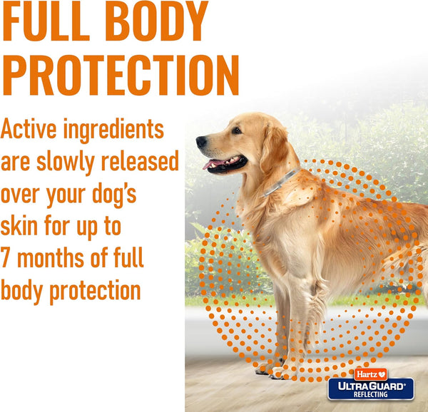 Hartz UltraGuard Flea & Tick Collar for Dogs and Puppies Up to 26 Inch Neck (Pack of 1)