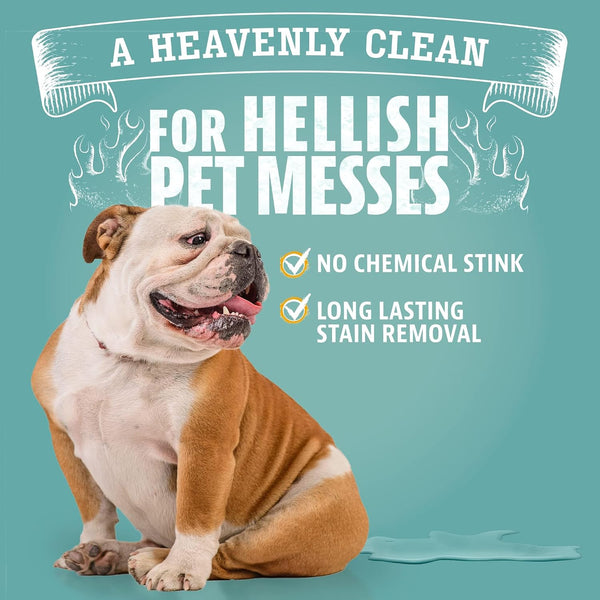 Angry Orange Stain Remover - 32oz Enzyme Pet Cleaner - Dog & Cat Urine Destroyer and Stain Remover - Citrus Spray Cleaning Solution - Puppy