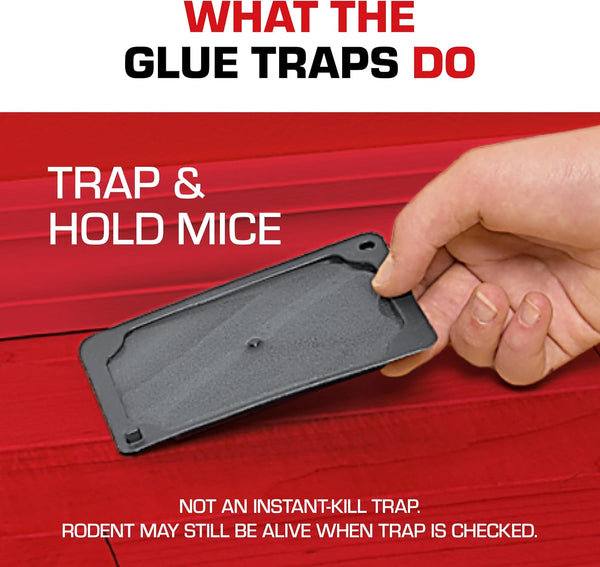 Tomcat Glue Traps Mouse Size with Eugenol for Enhanced Stickiness, 6 Traps | Sticky Pads For Mice, Cockroaches, and Spiders 1-Pack 6 Mouse Glue Traps