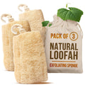 SERRENTO Loofah Body Scrubber Shower - Egyptian Luffa Sponge Pack of 3 Tan 1 Count (Pack of 3)
