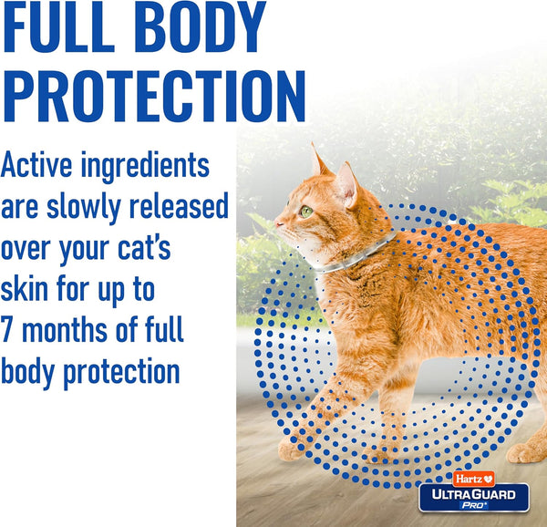 Hartz UltraGuard Pro Flea & Tick Collar for Cats and Kittens, 7 Month Flea and Tick Prevention and Protection, 1 Collar