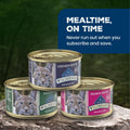 Blue Buffalo Wilderness Paté Variety Pack (Chicken, Salmon, and Duck) Adult Wet Cat Food, High-Protein & Grain-Free Recipes Enhanced with