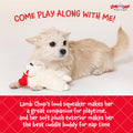Multipet Lamb Chop Dog Plush Toy - Squeaky Toy for All Dogs - Extra Soft Plush - Stuffed Animal Dog Toy for Cuddling & Playing - Cute Pet Toy (6",