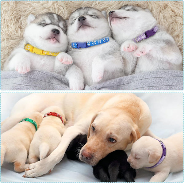 16 Pack Puppy Collars for Litter, Reflective Puppy Collars Adjustable Puppy ID Collars Soft Nylon Whelping Collars for Newborn Litter Puppy