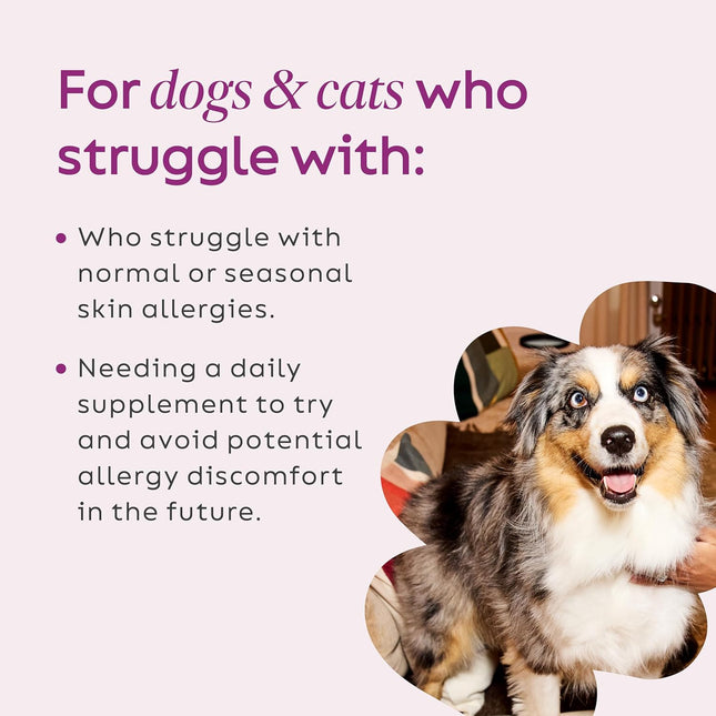Super Snouts Super Shrooms Mushroom Immune Support Supplement for Dogs and Cats,