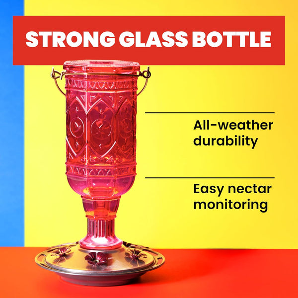 More Birds Red Jewel Hummingbird Feeder, Glass Bottle, 5 Feeding Ports and 20-Ounce Nectar Capacity (76IN) 23 oz Nectar Capacity Red