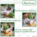 Dotti Cactus, Non-Electric Ceramic Diffusers for Essential Oils and Aromatherapy Fragrance, White Ceramic Diffusers in Car or Desk Office Decor