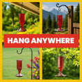 More Birds Red Jewel Hummingbird Feeder, Glass Bottle, 5 Feeding Ports and 20-Ounce Nectar Capacity (76IN) 23 oz Nectar Capacity Red