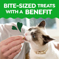 Greenies Feline Smartbites Skin & Fur Health Cat Treats, Salmon, 2.1 oz | Fish oil & flaxseed, omega-3 fatty acids, no artificial flavors or