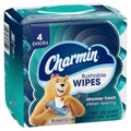 Charmin Flushable Wipes, 160 Total Wipes (4 Packs of 40) 40 Count (Pack of 4)