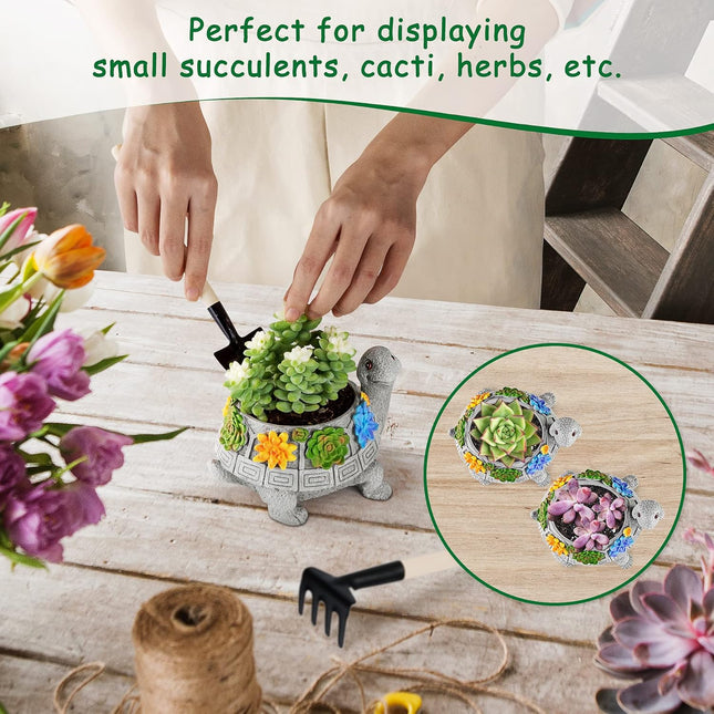 LESES Turtle Succulent Pot Planters for Indoor Plants with Drainage Hole, Flower Garden Cute Pots for Plants, Succulent,