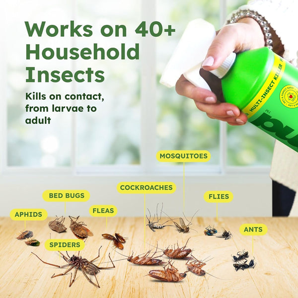 BugMD Empty Refillable Spray Bottle 32 oz for Pest Control Essential Oil Concentrate (Sold Separately), 3 Modes 32 Oz - Empty Spray Bottle