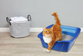 Pureness Giant Cat Litter Pan, Assorted Colors 6.5 W x 17 W x 22 D
