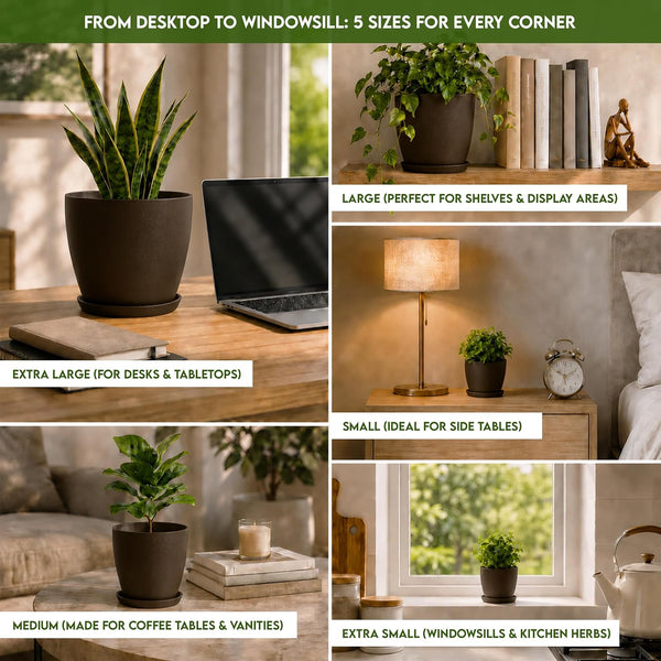 Plant Pots Indoor with Drainage, 5 Pack Multi-Size Planters Set, Brown Pack of 5 Brown