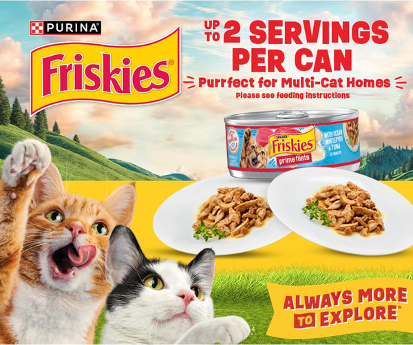 Purina Friskies Indoor Cat Food 24ct VP - (Chicken and Turkey Casserole, Saucy Seafood Bake, Homestyle Turkey Dinner) - (Pack of 24) 5.5 oz. Cans