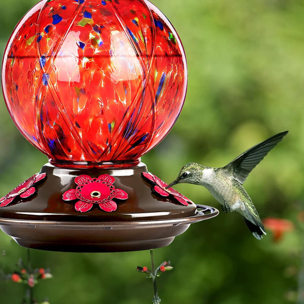 BOLITE Glass Hummingbird Feeders for Outdoors Hanging, Hand Blown, Red | With Ant-Moat, 20oz, 5 Bee-Proof Ports, 360° Perch, Leak-Proof, Meshy