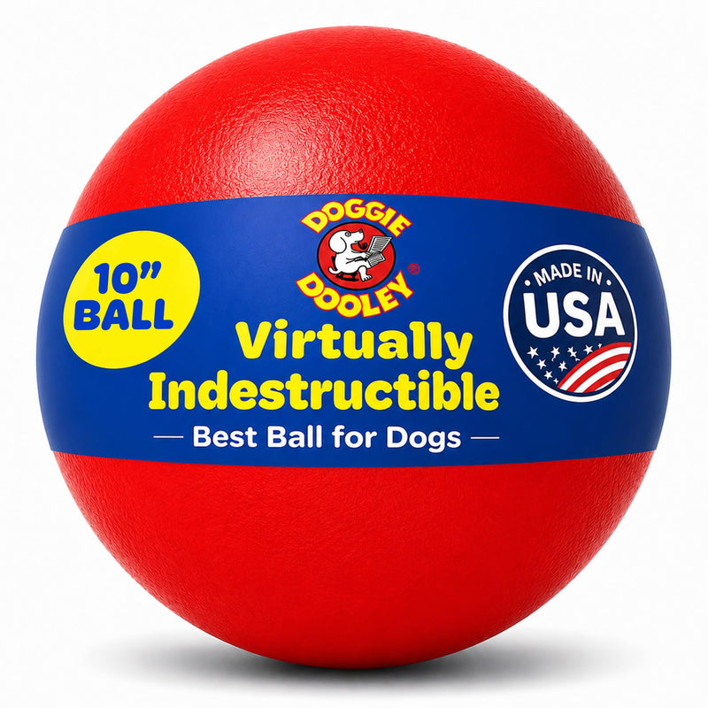 Doggie Dooley Virtually Indestructible Dog Ball - 10 Inch Hard Plastic Interactive Dog Toy for Large Breeds Over 45+ lbs - Built for Herding &