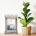 100% Natural Pine Bark Mulch Nuggets (8 Quarts), Small Mulch Chips for Indoor/Outdoor Container Gardening, Ideal for Soil Supplement, Houseplant