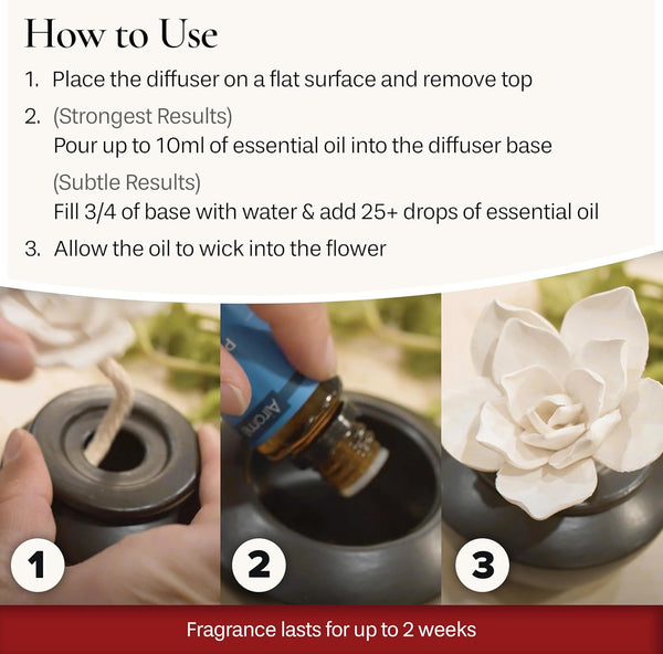 AiromÃÂ© White Succulent, Porcelain Passive Essential Oil Diffuser (With 15Ml Peppermint Essential Oil) Ã¢ÂÂ Non-Electric, Battery-Free, Improves