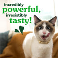 Greenies Feline Natural Dental Cat Treats, Tempting Tuna Flavor, 9.75 oz | veterinarian-recommended, 36% less tartar in 28 days, cleans to