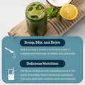 Organifi Green Juice - Powder Supplement with Organic Spirulina, Ashwagandha, and Chlorella - Helps Achieve Fitness Goals and Reduce Cortisol