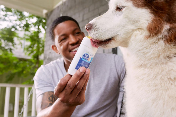 Twist + Lick Brush Free Dental Gel for Dogs, 30 Day Supply, Fresh Breath Chicken