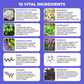 Sleep Aid Support Supplement - Melatonin Free Formula with Magnesium, Valerian, Chamomile, Apigenin, Helps Restful Sleep and Relaxation, No