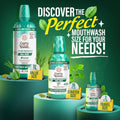 GuruNanda Oral Rinse Fresh Breath Mouthwash, ADA-Accepted Alcohol-Free Mouthwash, 7 Essential Oils & Vitamins, SLS & Flouride-Free, Wild Mint, 16
