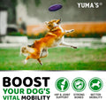 YUMA'S Glucosamine for Dogs - Hip and Joint Supplement for Dogs - 170 Ct - Glucosamine Chondroitin Chews - Joint Pain Relief Supplement with MSM -