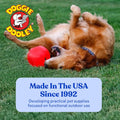 Doggie Dooley Virtually Indestructible Dog Ball - 10 Inch Hard Plastic Interactive Dog Toy for Large Breeds Over 45+ lbs - Built for Herding &