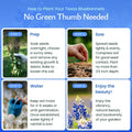 Created By Nature Texas Bluebonnet Seeds, 750+ Wildflower Seeds, Texas State Flower