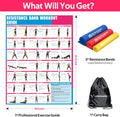 Resistance Bands for Working Out, Exercise Bands for Physical Therapy, Stretch, Recovery, Pilates, Rehab, Strength Training and Yoga Starter Set
