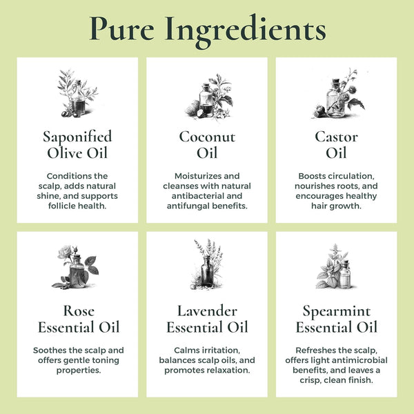 J.R.LIGGETT'S Shampoo Bar Original Formula, All-Natural Solid Hair Cleanser, Plant-Based Dry Bar Shampoo with Antioxidants and Vitamins for