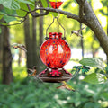 BOLITE Glass Hummingbird Feeders for Outdoors Hanging, Hand Blown, Red | With Ant-Moat, 20oz, 5 Bee-Proof Ports, 360° Perch, Leak-Proof, Meshy
