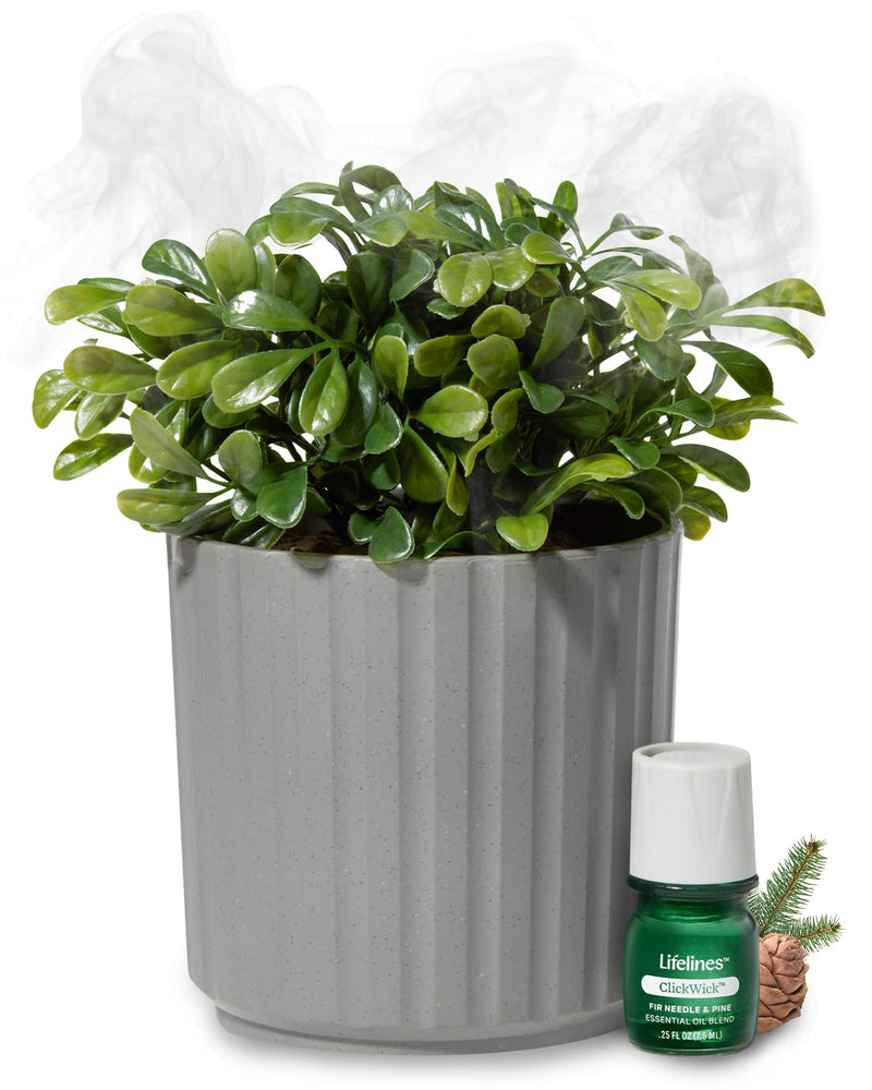 Lifelines Plant Diffuser with Essential Oil Blend - Modern Planter, Succulent - Rechargeable Aromatherapy Diffuser, Artificial Faux Plants Home &